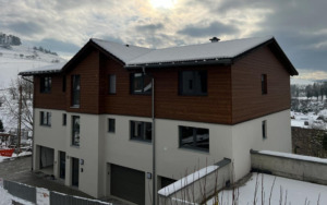 LD Systemprofile - Referenz LD Plank Hausfassade